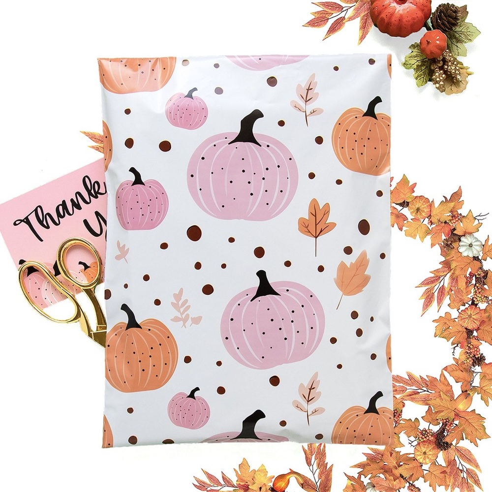Poly mailers 10x13 | set of 25